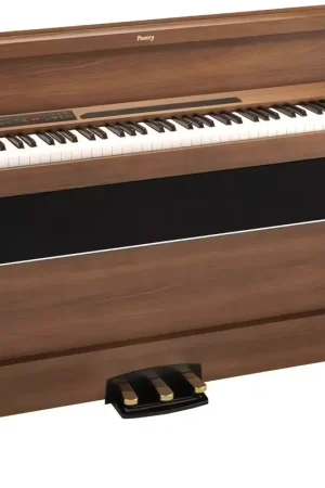 Offre limitée - Korg Poetry