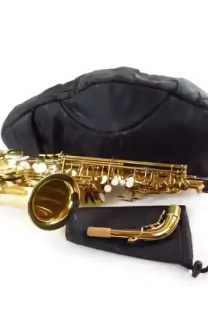 Fusion Bags Housse Noire Saxophone Alto | Prix promo