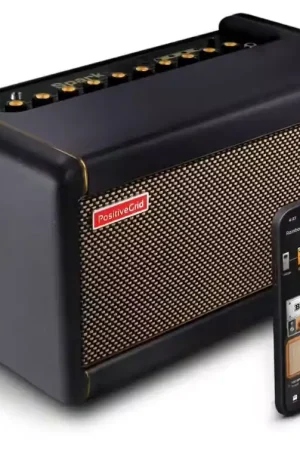 Très populaire | Positive Grid Spark 40 Noir