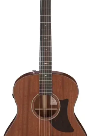 Achetez maintenant - Ibanez AAM740E-LG Natural Advanced Acoustic Platinum