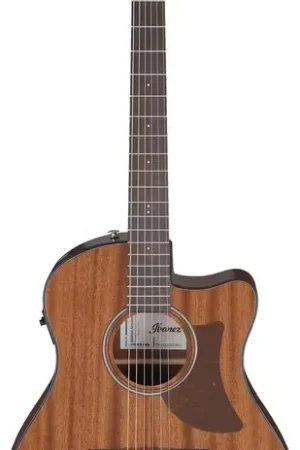 Produit phare | Ibanez AAM54CE-OPN Natural Advanced Acoustic