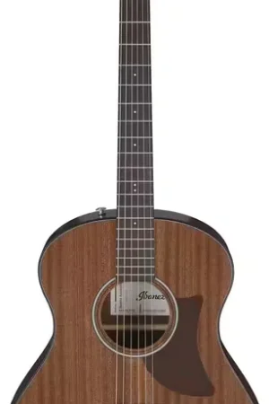 Ibanez AAM54-OPN Natural Advanced Acoustic - Cette semaine uniquement