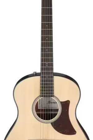Qualité professionnelle - Ibanez AAM50-OPN Natural Advanced Acoustic