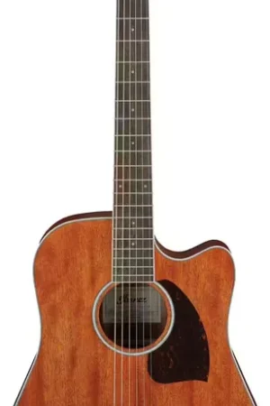 Ibanez PF16MWCE-OPN Natural Performance - Petit prix
