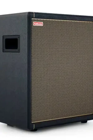 Offre spéciale - Positive Grid Spark Cab FRFR