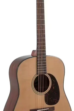 Applause Wood Classics AAD96-4 Naturel Brillant AAD96-4 - Aujourd'hui seulement
