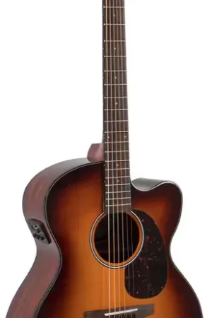 Incontournable - Applause AEJ96-1 Jumbo Wood Classics CW Sunburst AEJ96-1