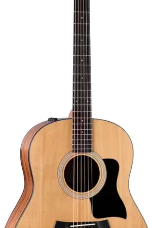 Nouveau chez nous - Taylor Guitars 117e Natural Grand Pacific