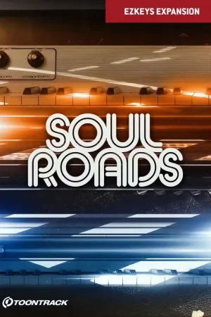 Prix spécial - Toontrack EKX Soul Roads