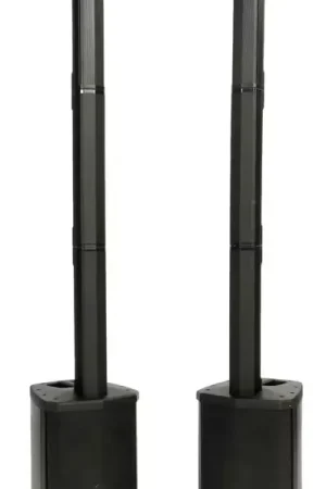 Livraison rapide - Woodbrass Pack CS200 x 2