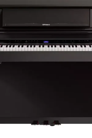 Très apprécié des clients | Roland LX-5 Palissandre foncé