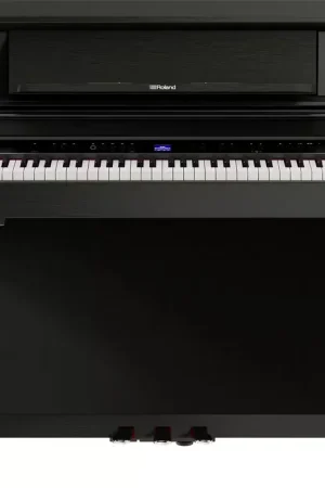 Offre à durée limitée - Roland LX-5 Noir charbon