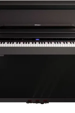 Roland LX-6 Palissandre foncé | Affaire à saisir