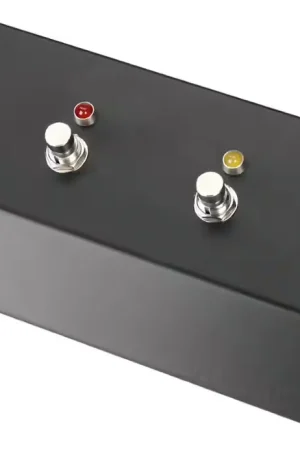 Incontournable - Laney FS4