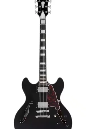 D'Angelico Premier DC Black Flake | En stock