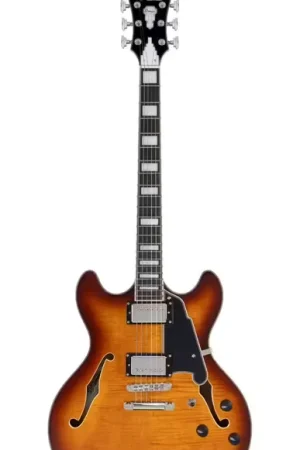 D'Angelico Premier DC Dark Iced Tea Burst | Prix imbattable