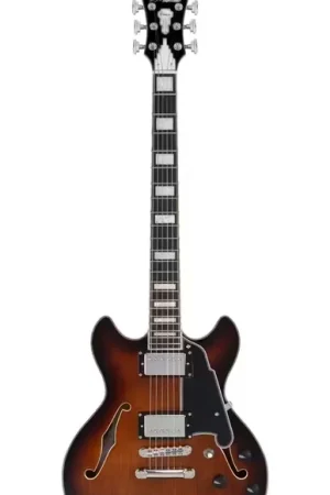 Disponible à la commande - D'Angelico Premier Mini DC Brown Burst