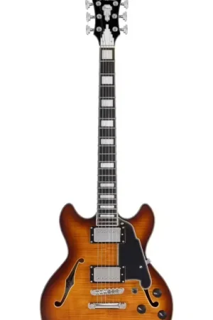 Recommandé | D'Angelico Premier Mini DC Dark Iced Tea Burst
