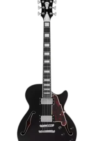 Nouveau au catalogue - D'Angelico Premier SS Black Flake