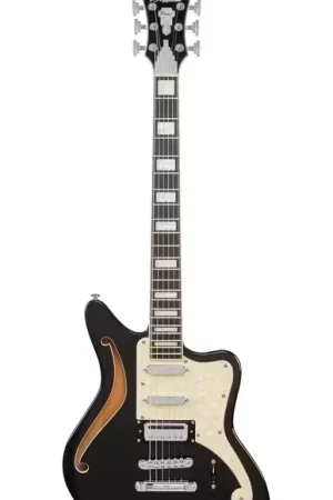 D'Angelico Premier Bedford SH Blake Flake | Nouveau chez nous