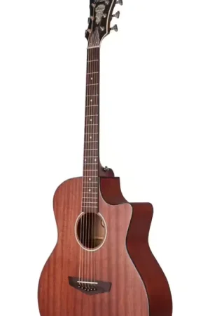 Économisez maintenant - D'Angelico Premier Gramercy LS Mahogany Satin