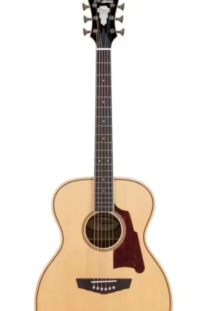 D'Angelico Premier Tammany Natural - Nouveau chez nous