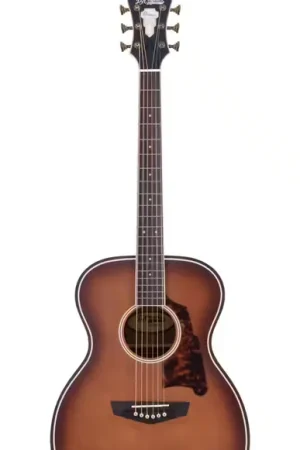 D'Angelico Premier Tammany Caramel Burst | Expédition rapide