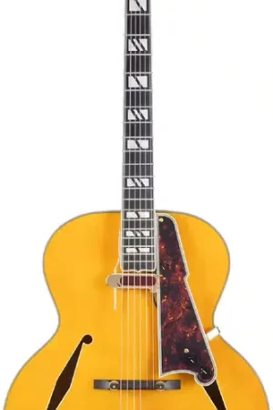 Prix mini | D'Angelico Excel Style B Amber