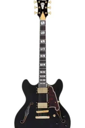 D'Angelico Excel DC Solid Black | Prix usine