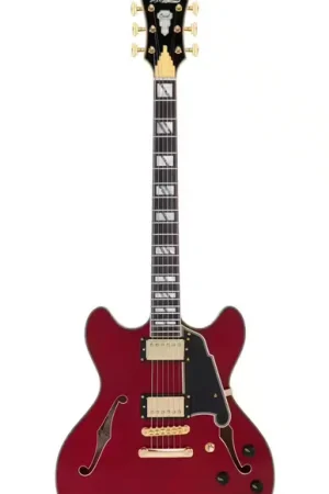 Réduction | D'Angelico Excel DC Trans Cherry