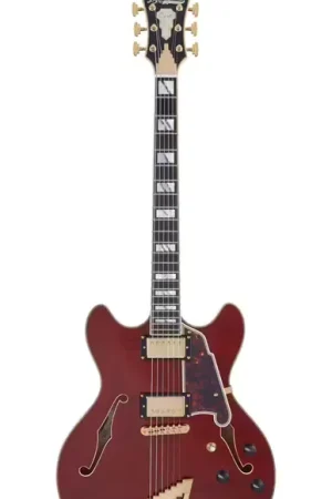Excellente qualité | D'Angelico Excel DC Viola