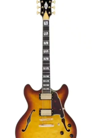 Remise supplémentaire | D'Angelico Excel DC XT Iced Tea Burst Quilt