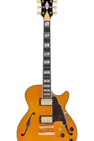 Très bien noté - D'Angelico Excel SS XT Vintage Natural Quilt