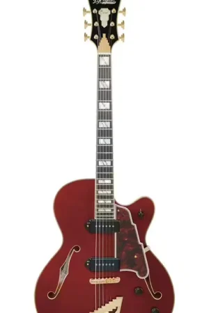 D'Angelico Excel 59 Viola | Disponible maintenant