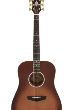 Tout juste ajouté | D'Angelico Lexington Auntumn Burst