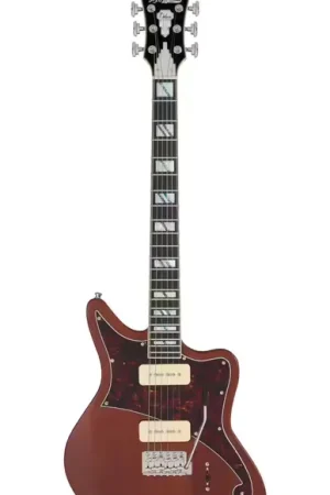 Prix exceptionnel - D'Angelico Deluxe Bedford Matte Walnut