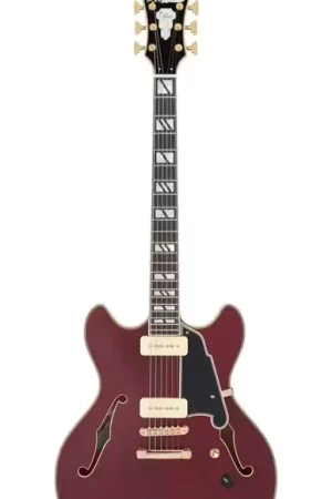 Haute qualité - D'Angelico Deluxe DC Satin Trans Wine