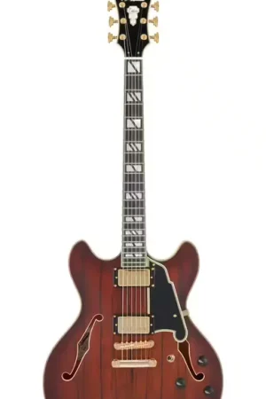 Disponible - D'Angelico Deluxe DC Satin Brown Burst