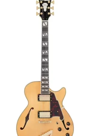 Offre spéciale - D'Angelico Deluxe SS Satin Honey