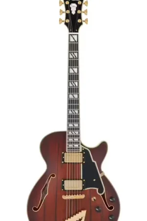 Achetez en ligne | D'Angelico Deluxe SS Satin Brown Burst