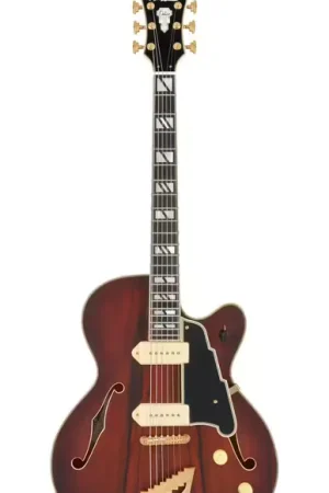 D'Angelico Deluxe 59 Satin Brown Burst - Qualité premium