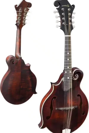 Prix spécial | Eastman MD315L Classic LH