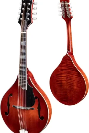 Eastman Md605-Gb Goldburst | Prix bas