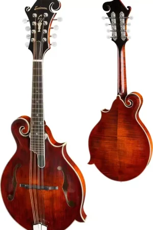 Produit phare | Eastman MD815 Classic