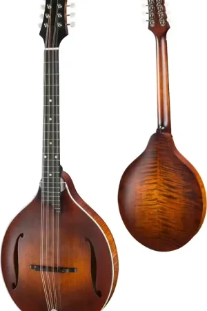 Produit phare - Eastman MDO305 Classic