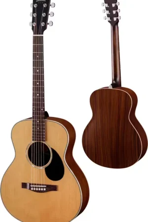 Super offre | Eastman PCH2-TG Natural