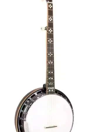 Offre bientôt terminée - Gold Tone Banjo Léger Orange Blossom 5 Cordes