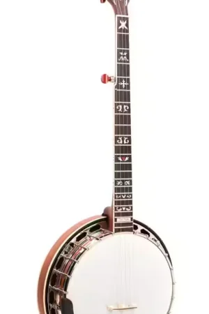 Bon plan - Gold Tone Banjo Mastertone "bluegrass Heart" Béla Fleck Signature