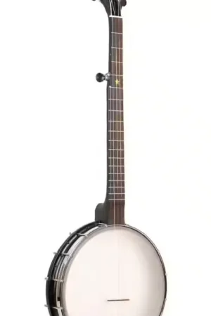 Tout juste ajouté - Gold Tone AC-12 Banjo 5