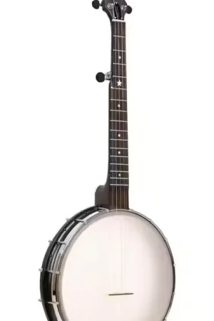 Coup de cœur - Gold Tone Banjo 5 Cordes Open Back FûT 12"